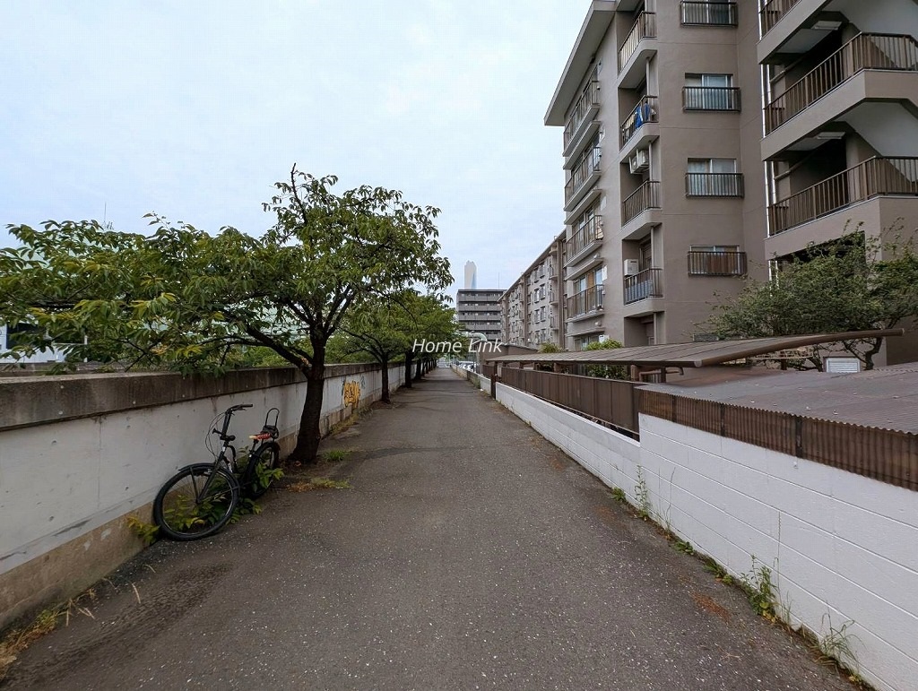 パークハイツ高島平　北側 前面道路